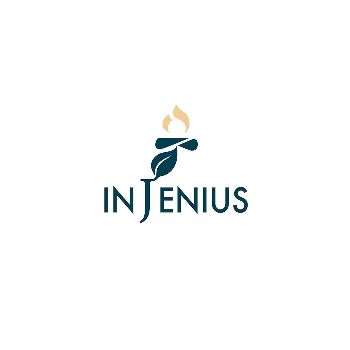 logo2-ingenius-outdoo