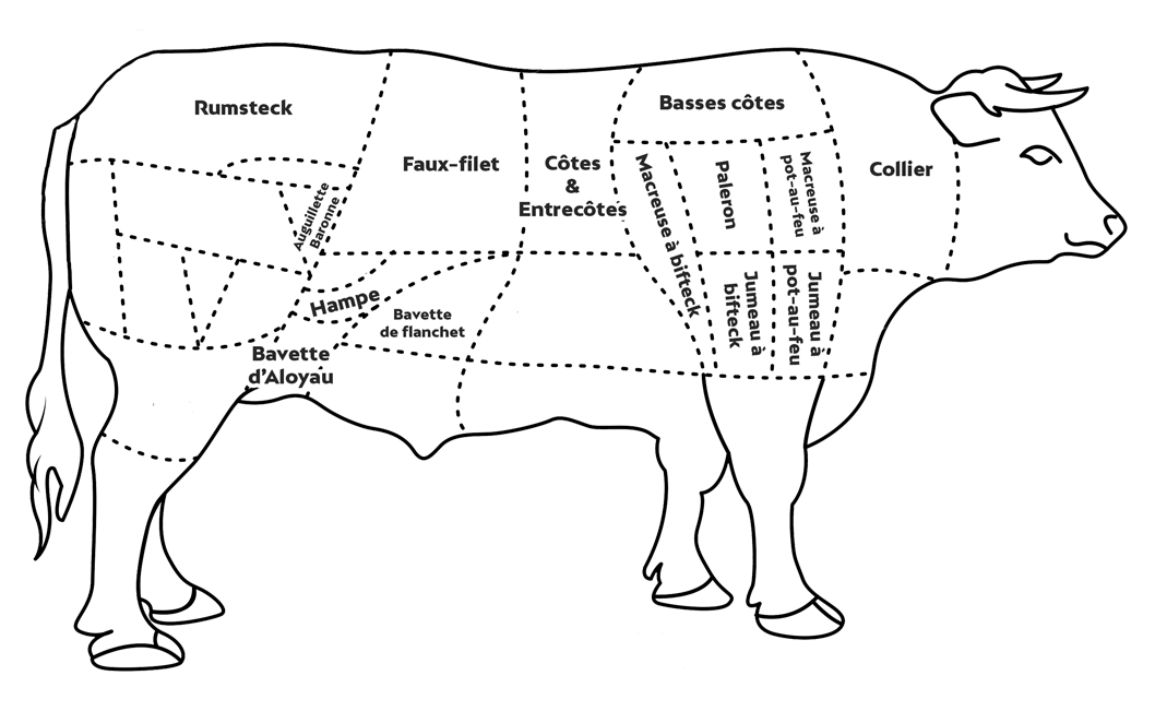 shema-vache-Celmar-outdoo